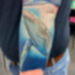 Whale by Gav