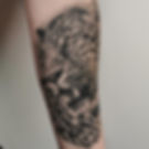 Leopard by Josh